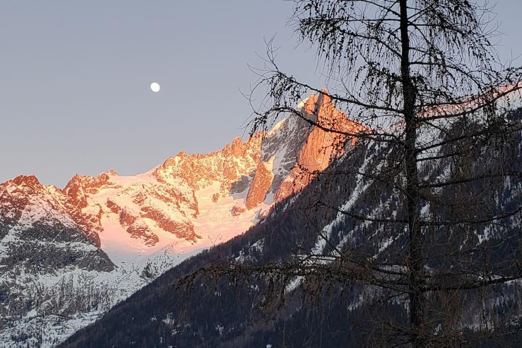 Bel Appartement Entier En Style Chalet A Chamonix Luaran gambar